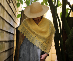 A Splash of Sunlight